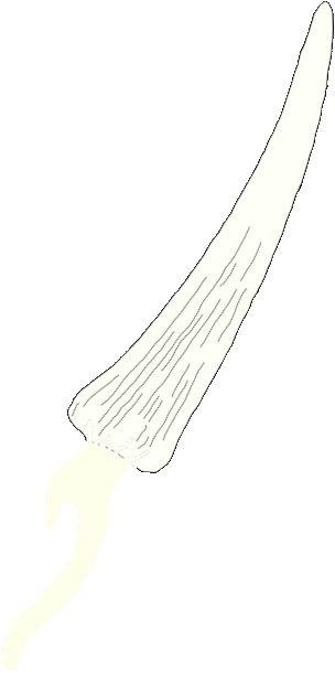 giant serpent