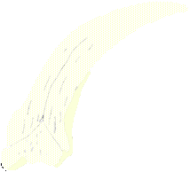 wyrm